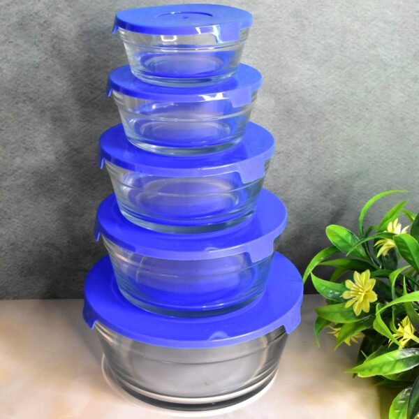 Glass Bowl Set ? 5-Piece Modern Storage | Organivo