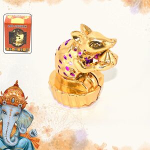 led-mushak-multicolour-festive-light-for-ganpati-styleva