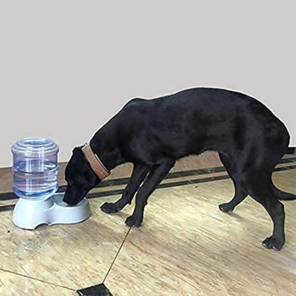 Automatic Pet Water & Food Dispenser ? Gravity Self-Feeder | Waggy Tales